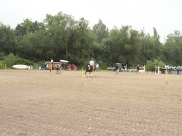 IMG_5498_web